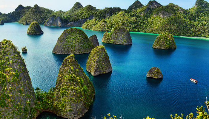 Raja Ampat Papua Memiliki Salah Satu Ekosistem Laut Terkaya