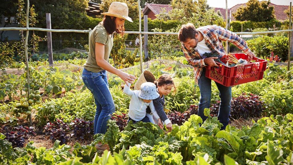 Berkebun : Manfaat Positif Buat Kesehatan