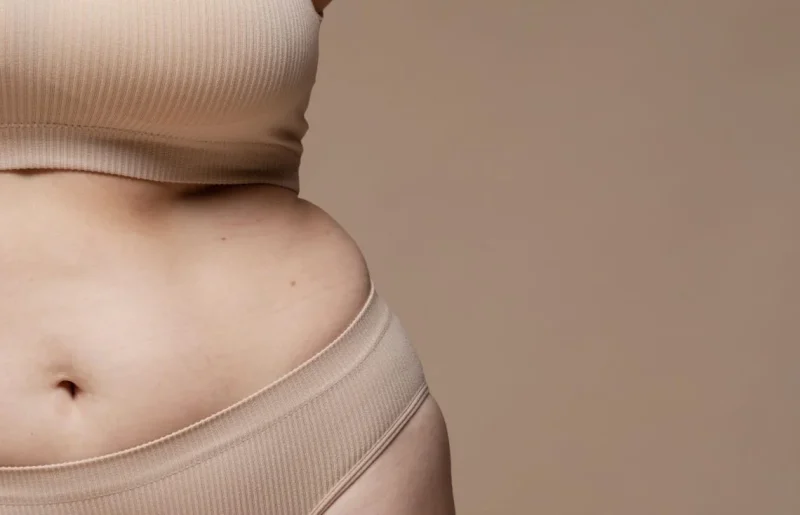 Lemak Visceral Berisiko Menyebabkan Perut Buncit Dan Penyakit