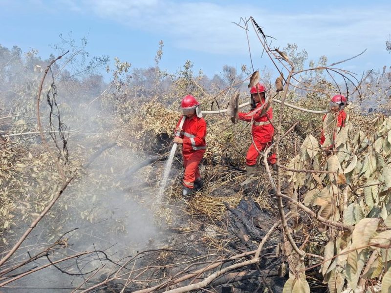 Laporan Terkini BNPB: Kebakaran Hutan Dan Banjir Rob