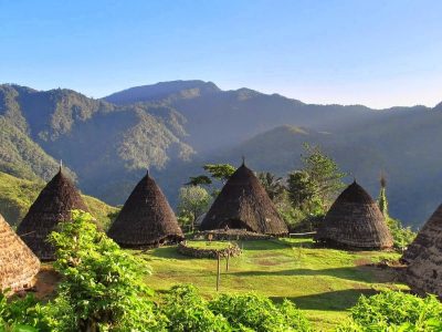 Tren Travel 2025: Wisata Ramah Lingkungan Dan Solo Trip