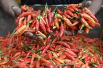 Daftar Harga Pangan Hari Ini: Cabai Merah Melonjak Hingga Rp 57 Ribu Per Kg