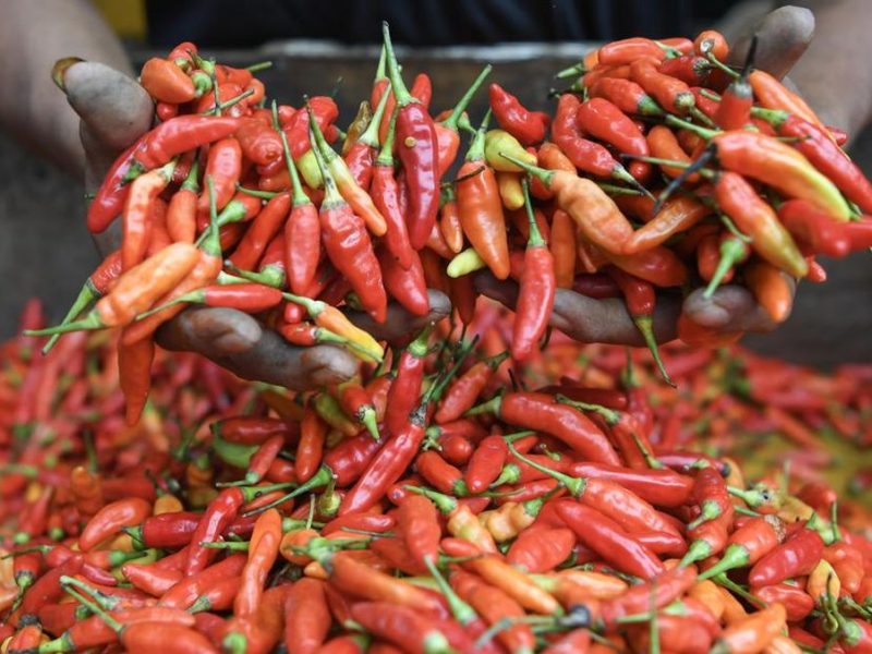 Daftar Harga Pangan Hari Ini: Cabai Merah Melonjak Hingga Rp 57 Ribu Per Kg