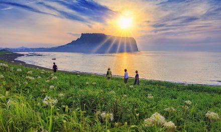 Pulau Jeju, Surga Wisata Alam Eksotis di Korea Selatan