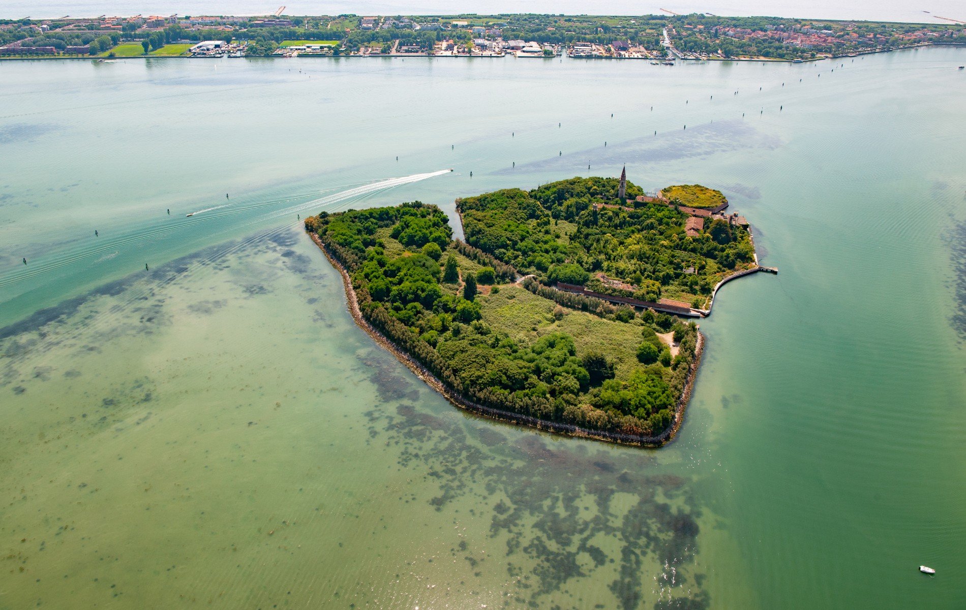 Pulau Poveglia