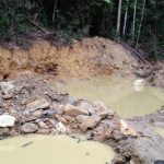 Tambang Emas Ilegal di Muara Danau Sentani Di duga Picu Banjir