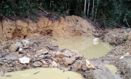 Tambang Emas Ilegal di Muara Danau Sentani Di duga Picu Banjir