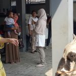 Ayu Ting Ting Kurban 3 Sapi, Wujud Rasa Syukur Keluarga