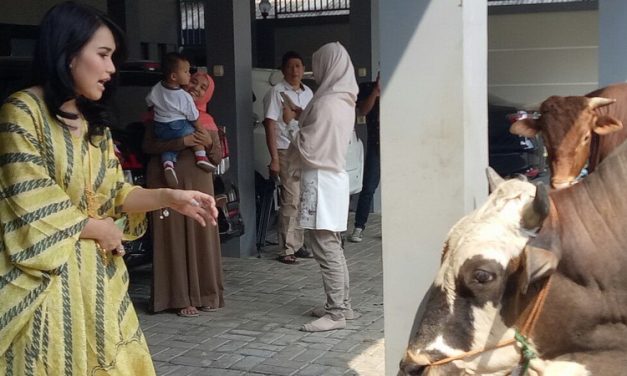 Ayu Ting Ting Kurban 3 Sapi, Wujud Rasa Syukur Keluarga