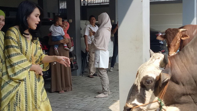 Ayu Ting Ting Kurban 3 Sapi, Wujud Rasa Syukur Keluarga