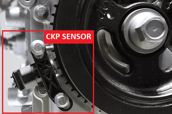 Sensor CKP