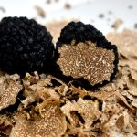 Jamur Truffle Yang Mahal Karena Sulit Di Temukan