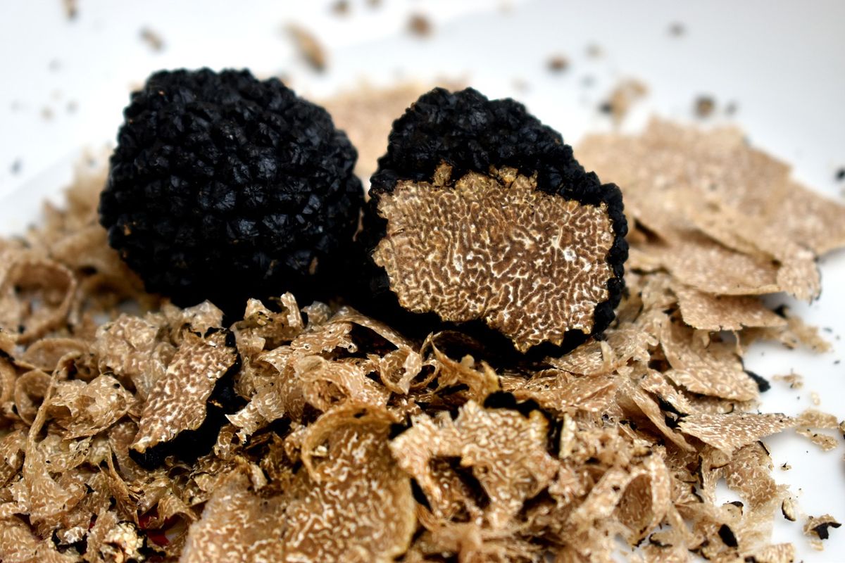 Jamur Truffle