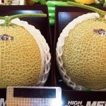 Melon Premium Jepang Di jual Rp450.000, Ludes dalam 12 Jam