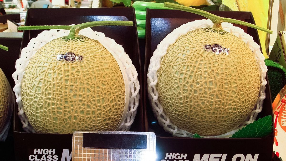 Melon Premium