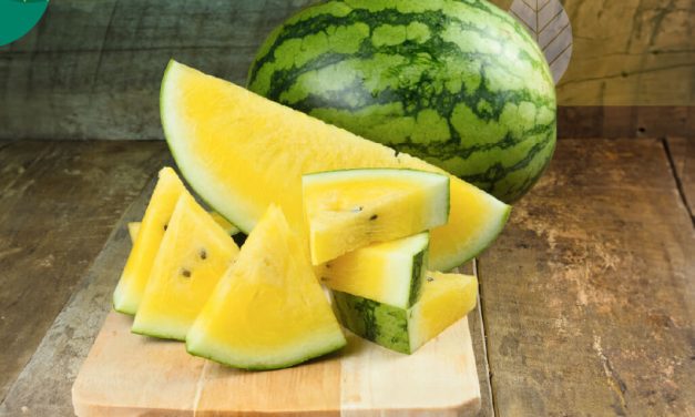 Buah Semangka Kuning Cenderung Lebih Manis Dan Lembut