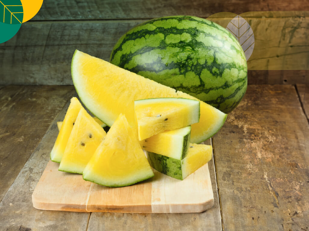Buah Semangka Kuning