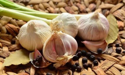 Bawang Putih Untuk Mencegah Penyakit Jantung