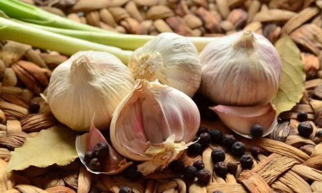 Bawang Putih Untuk Mencegah Penyakit Jantung