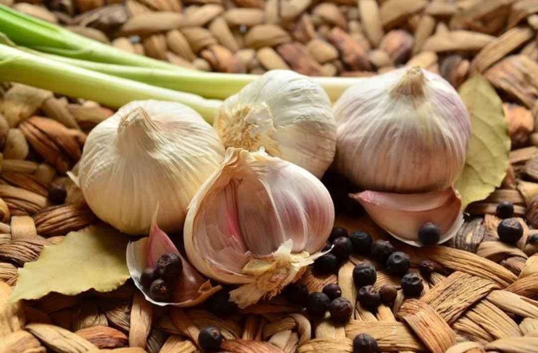 Bawang Putih