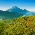 Bukit Premium, Sabana Mirip Sumba, Ada Di Jawa Timur!