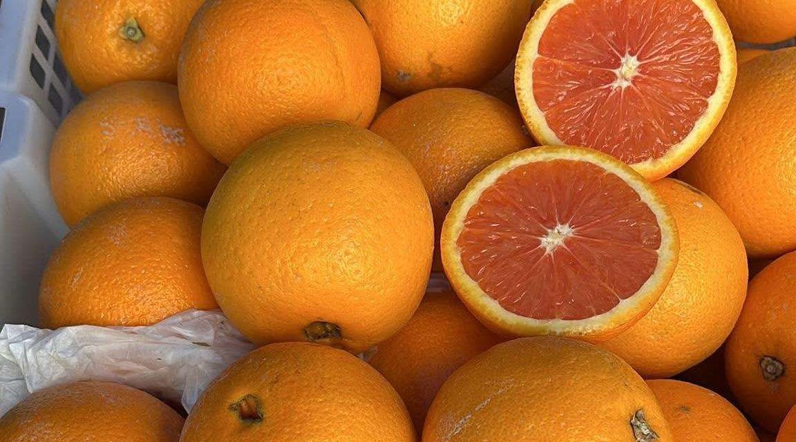 Jeruk Sunkist Buah Populer Di Dunia Yang Kaya Nutrisi