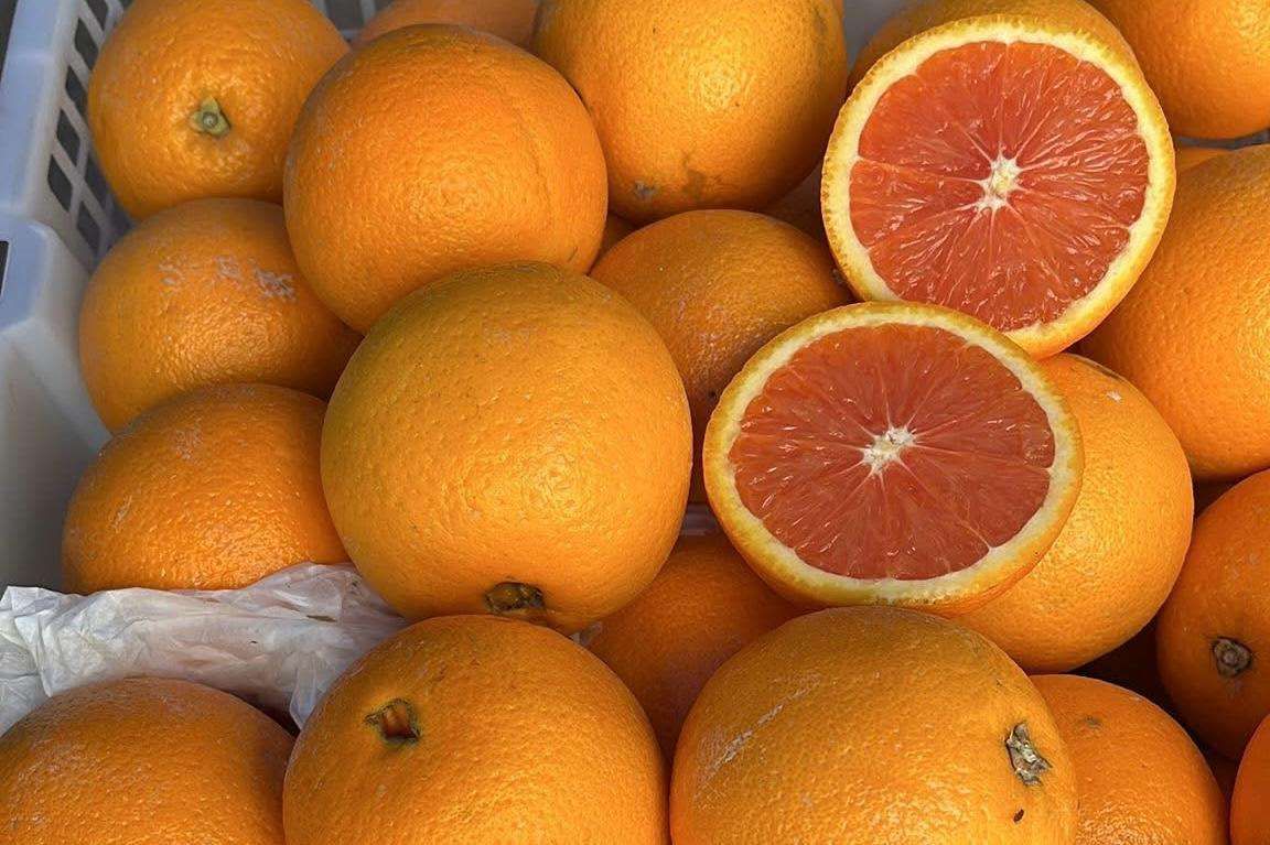Jeruk Sunkist