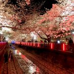 Kota Changwon Miliki Wisata Kuliner Yang Tiada Duanya
