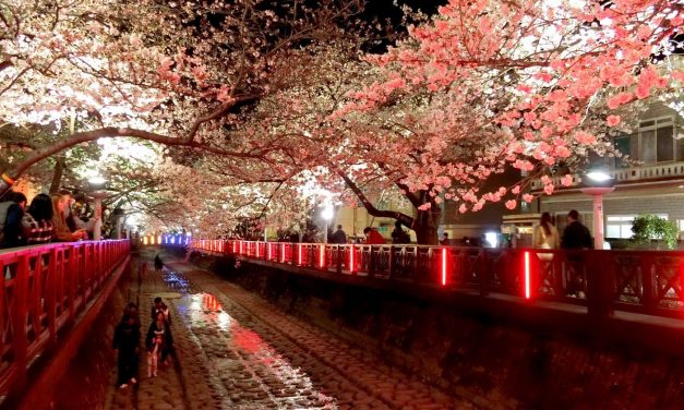 Kota Changwon Miliki Wisata Kuliner Yang Tiada Duanya