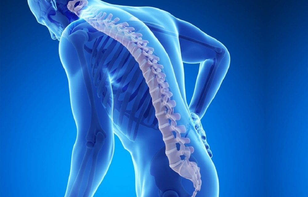 Penyakit Osteoporosis Di Tandai Penurunan Kepadatan Tulang