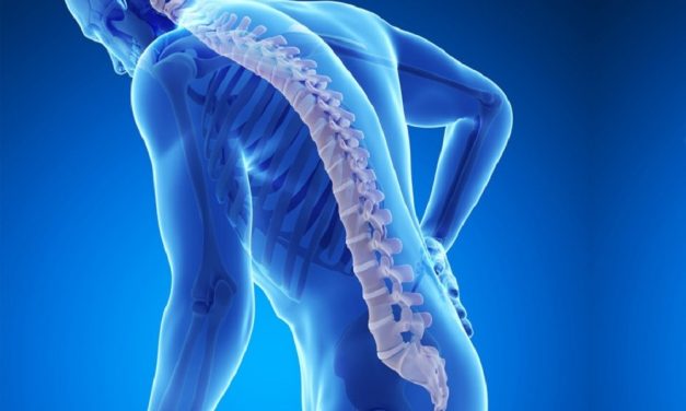 Penyakit Osteoporosis Di Tandai Penurunan Kepadatan Tulang